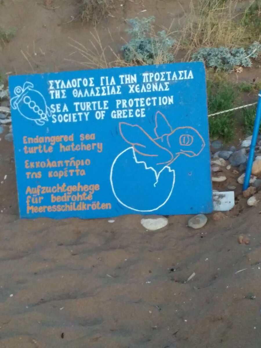 Так обозначаются места на пляжах где гигантские морские черепахи откладывают яйца