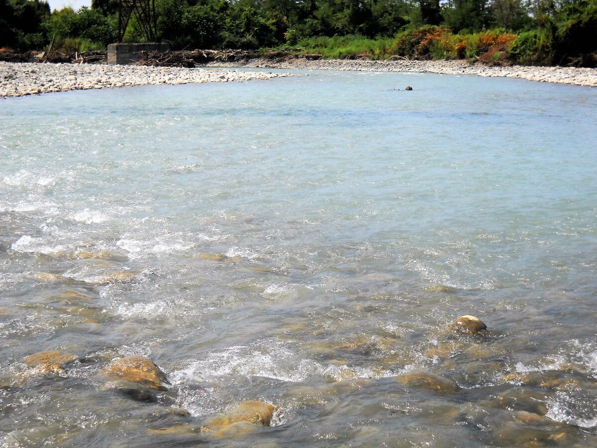 Река Кодор температура воды январь