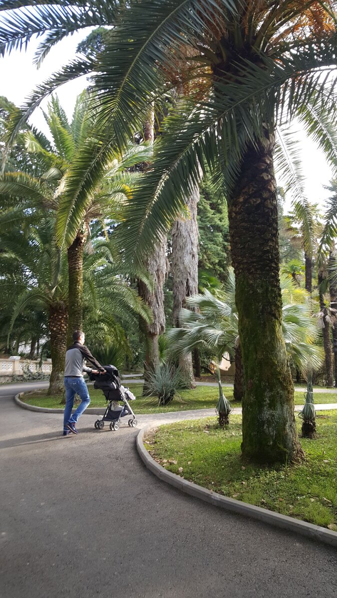 Парк Дендрарий 