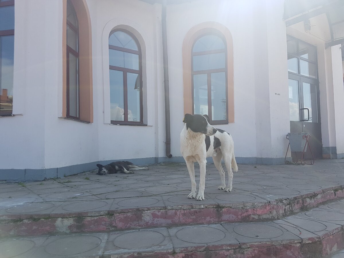 На станции нас уже встречают.