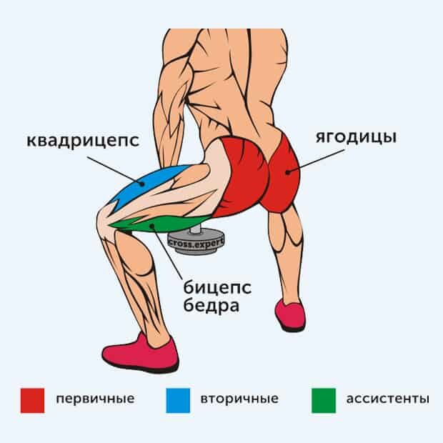 Лучшие упражнения для ягодиц: 10 самых эффективных упражнений для ягодиц в домашних условиях