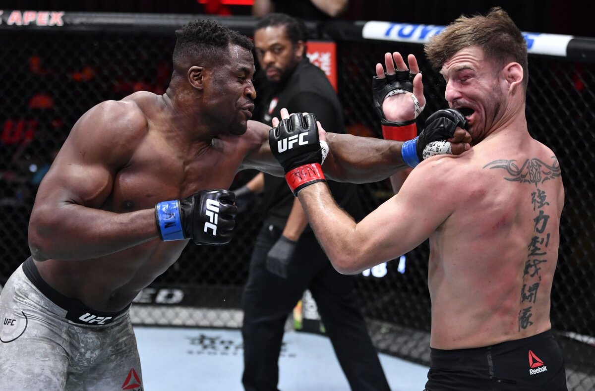 Кадр с UFC 260