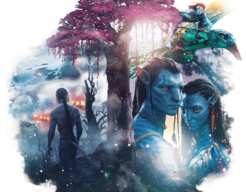 фото из открытых источников.