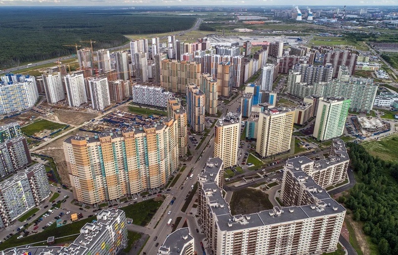 Человейники Петербурга. 