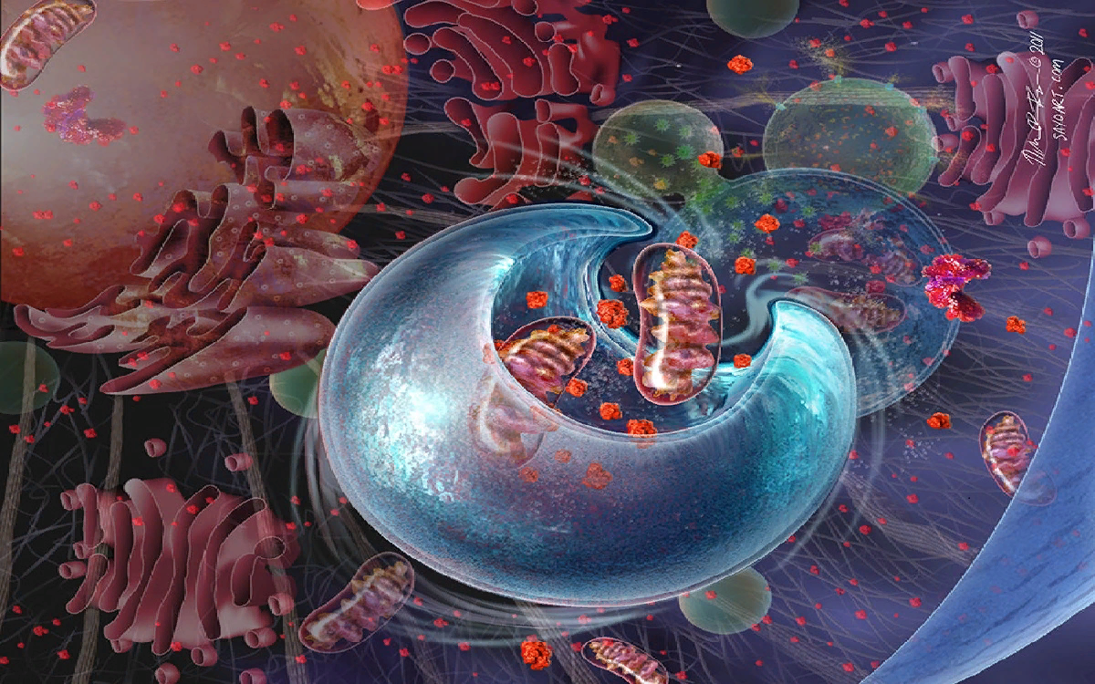 Клетка - целая вселенная внутри нас.