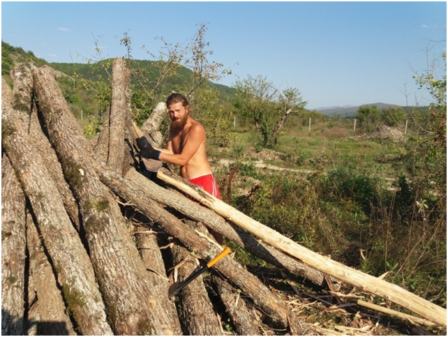Женя Терешкин очищает дубки