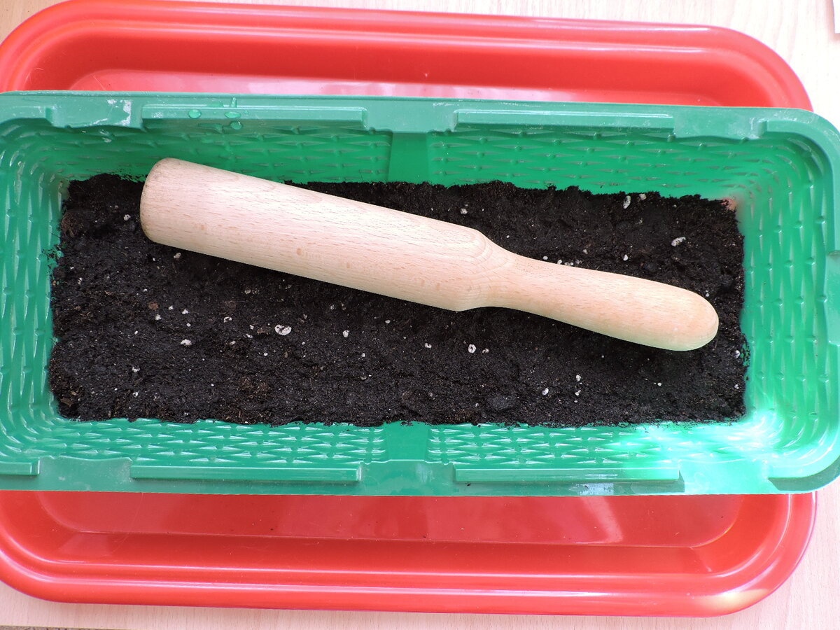 Такой мялкой я утрамбовываю землю.