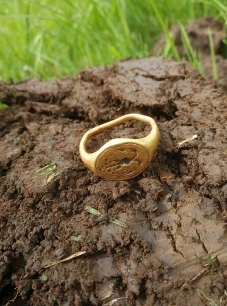 Любитель-кладоискатель откопал кольцо за $15 000