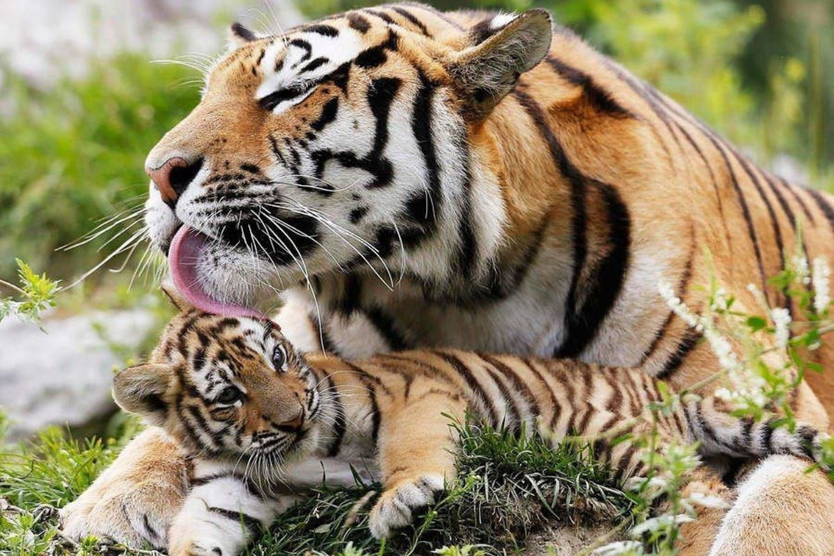 Я уже чистый. Ну мааам…!