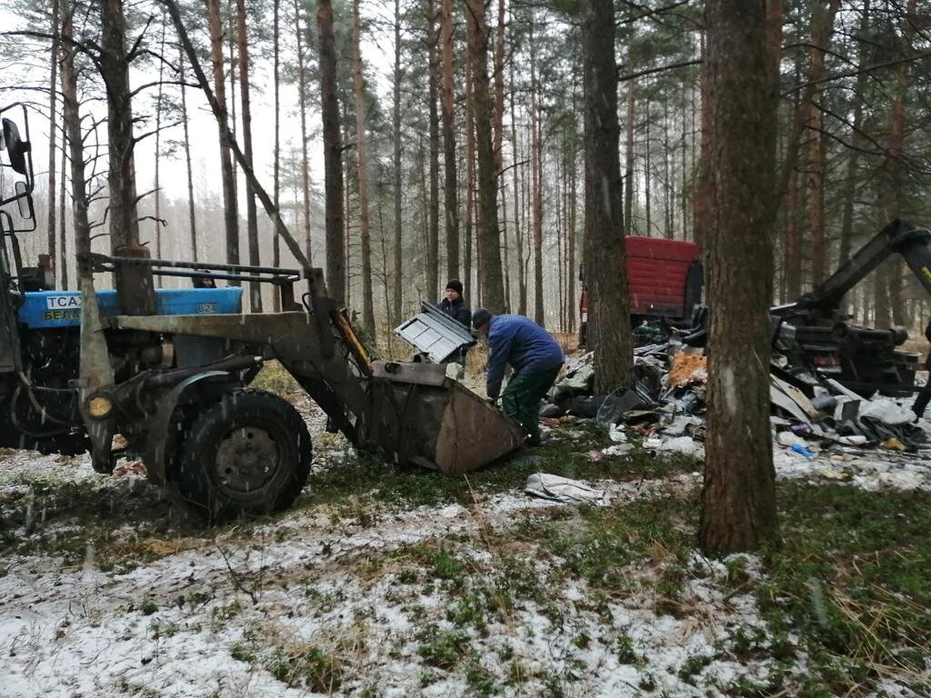 В Твери Комсомольскую рощу расчистили от мусора