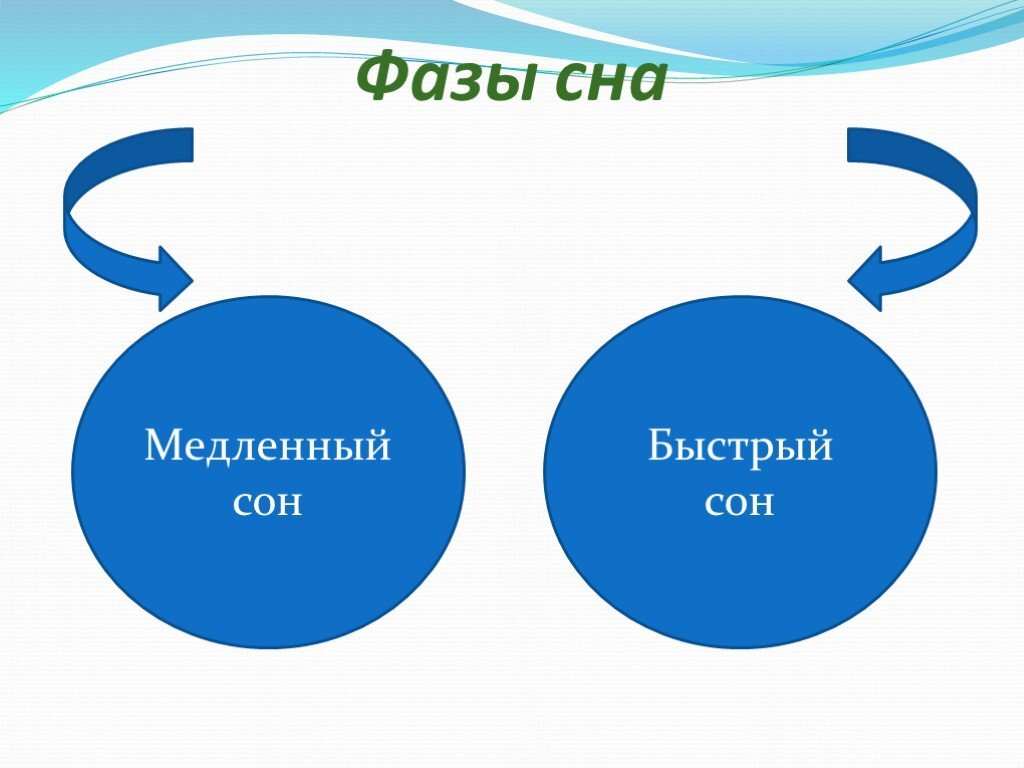 Составляющие сна. Структура сна фазы медленного и быстрого сна. Фазы сна схема. Быстрый сон. Медленный сон.