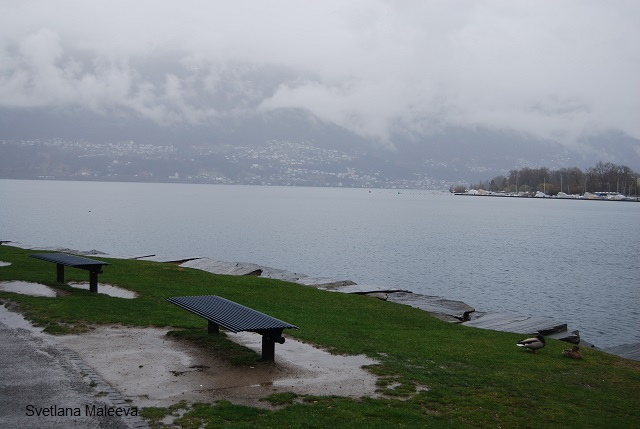 В Швейцарии дождь идёт через день и очищает всё - жителей , воздух , проезжающих..
Мы не были исключением.
Разве дождь может быть препятствием, чтобы наслаждаться жизнью и видами?