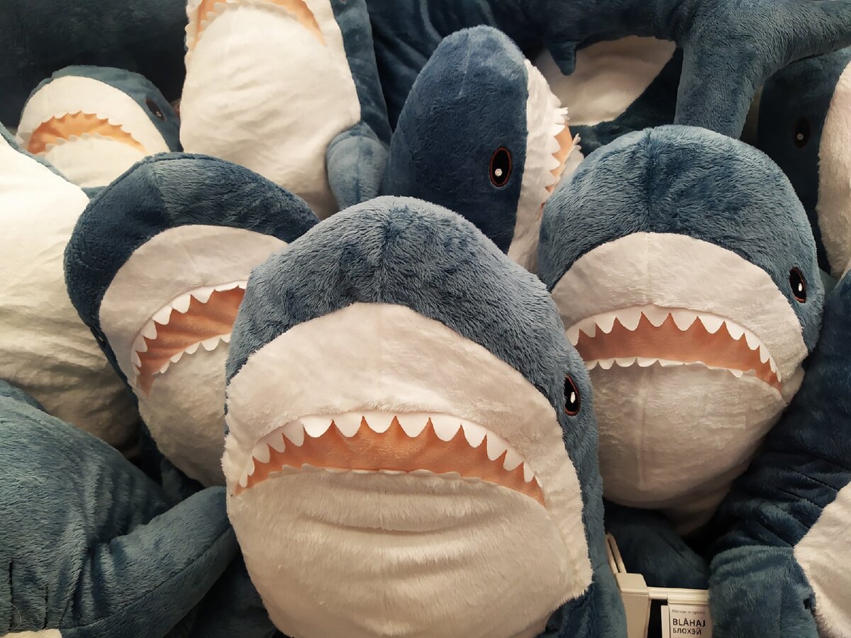 Сейчас в магазинах Москвы акулу серии БЛОХЭЙ можно купить за 899 рублей вместо 1499 рублей. За все время ее продажи эта самая выгодная цена)
Я себе уже приобрела такую красавицу и дело не в бренде или може, просто она мягкая и служит прекрасной подушкой.