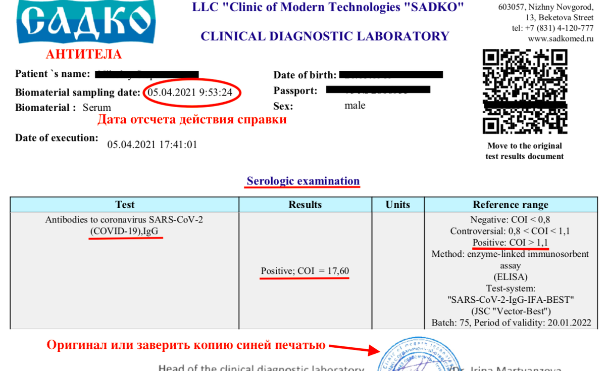 Из России в Черногорию. Как сейчас добраться до Черногории, требования на  границе по справкам на апрель 2021-го | Черногория глазами гида | Дзен