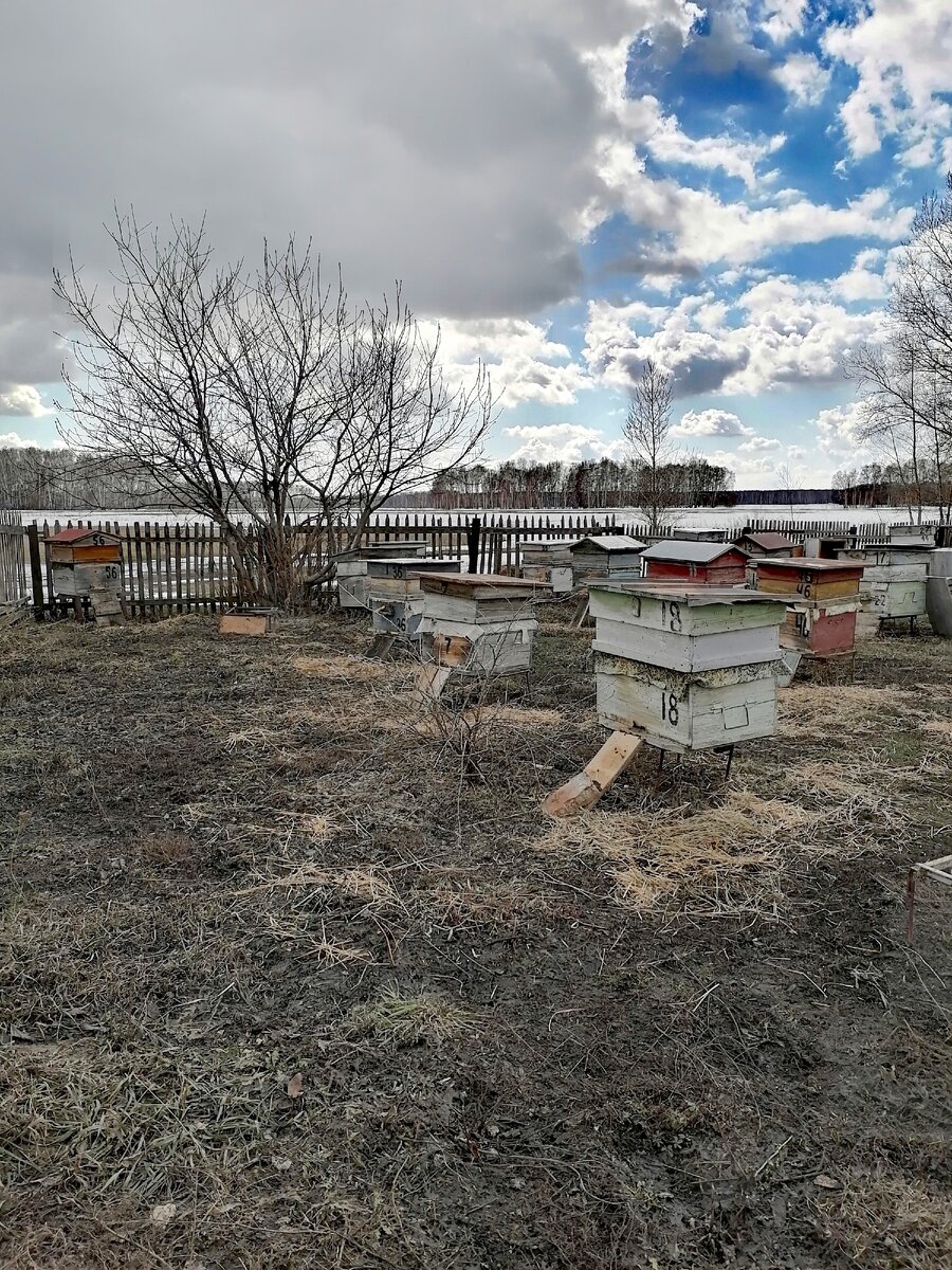 Весна - время контрастов.