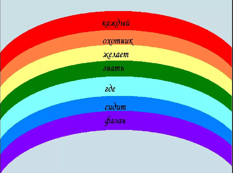 Знает где сидит фазан. Каждый охотник желает знать где сидит фазан. Каждый охотник желает знать где сидит фазан цвета. Каждый охотник желает знать. Радуга цвета каждый охотник.