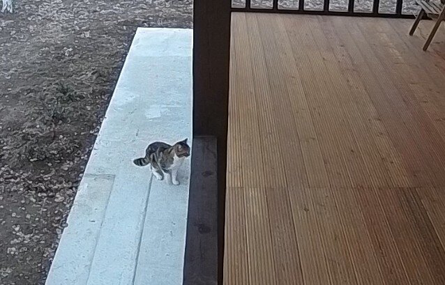 Один из посетителей.