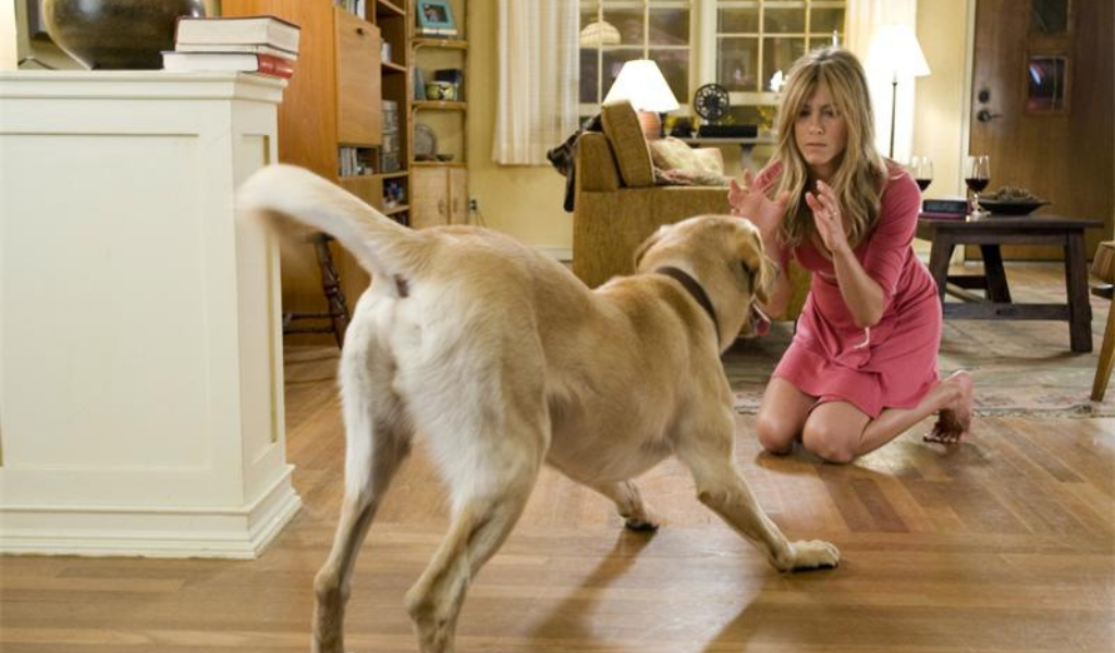 "Марли и я"(2009, США). Противостояние