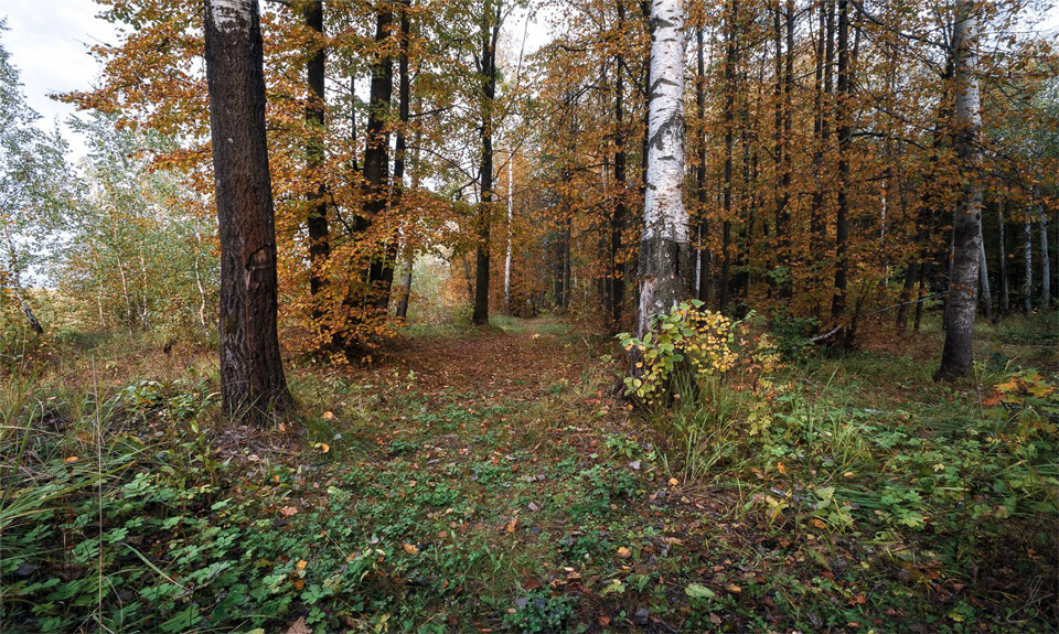https://guruturizma.ru/25-glavnyx-dostoprimechatelnostej-tuly/