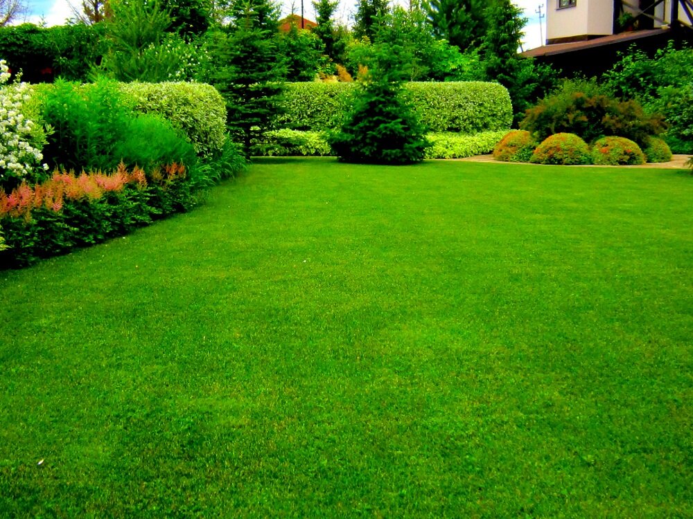 Фото взято из общего доступа