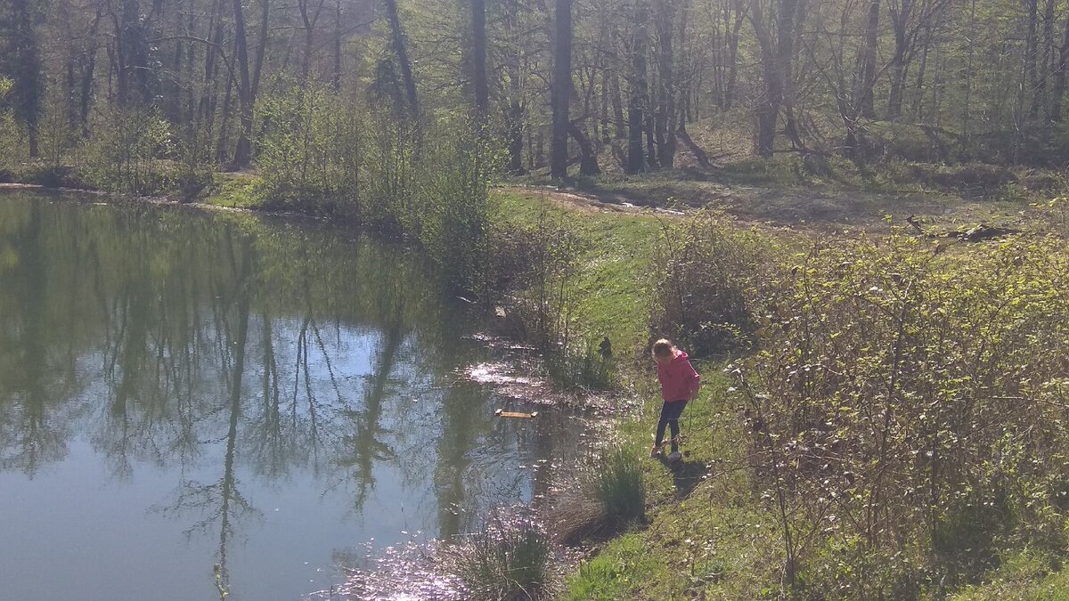 Весенний лес в Сочи. Фото из личного архива.