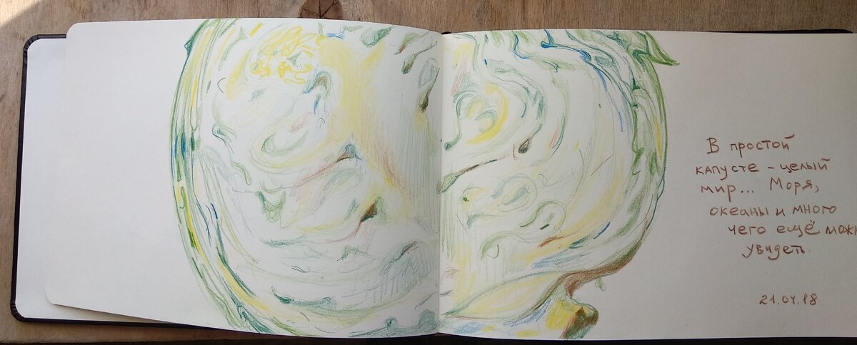 Нашла в своём блокноте зарисовку половинки кочана капусты. Рисунок 2018 года, выполнен с натуры цветными карандашами. Подпись у рисунка справа от капусты тоже моя.