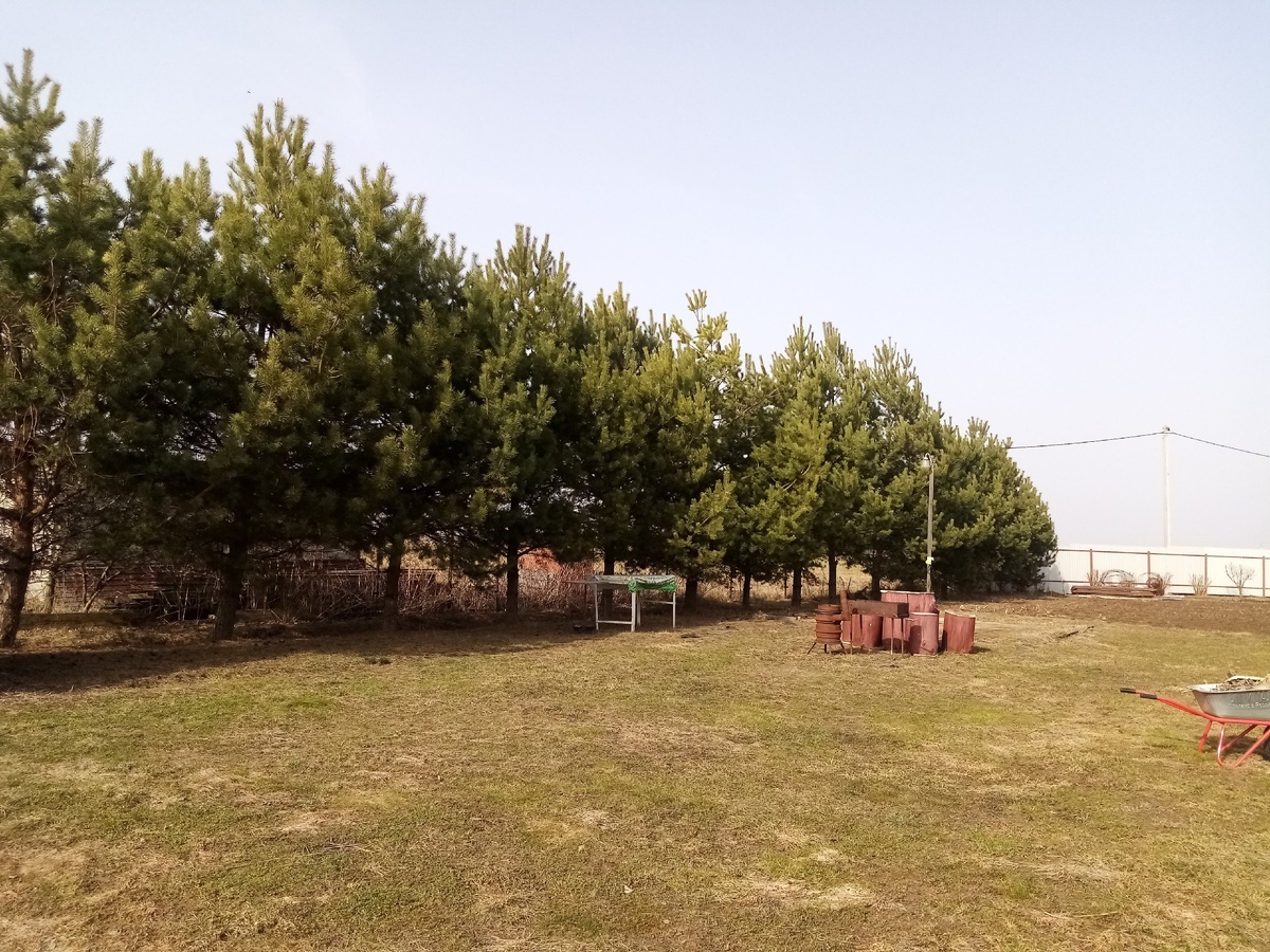 Просыпаюшаяся земля. 