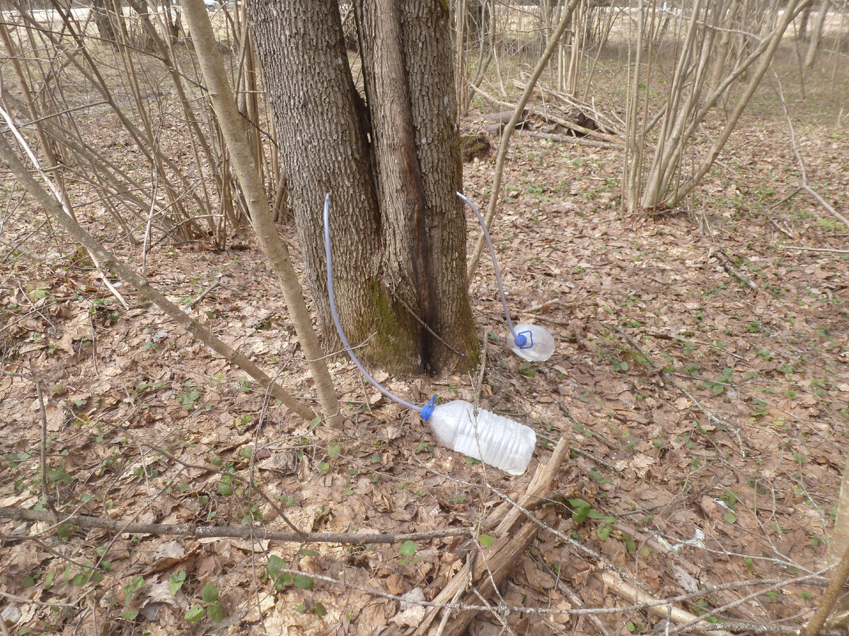 Сделано все дорого и основательно.