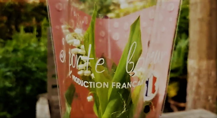 Ландыш на 1 мая во Франции. Фото-скрин с канала https://www.youtube.com/channel/UCiuBrEbOl0mpjoBH27Ld9Ow