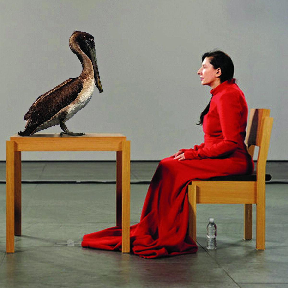 Марина Абрамович и пеликан