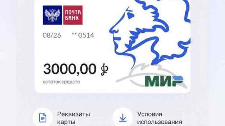 Пушкинская карта после нового года. Продажа пушкинской карты. Скупка пушкинских карт. Пушкинская карта. Оплата пушкинской картой.
