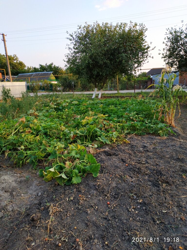 Печальное зрелище...