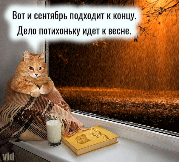 Простые модели5