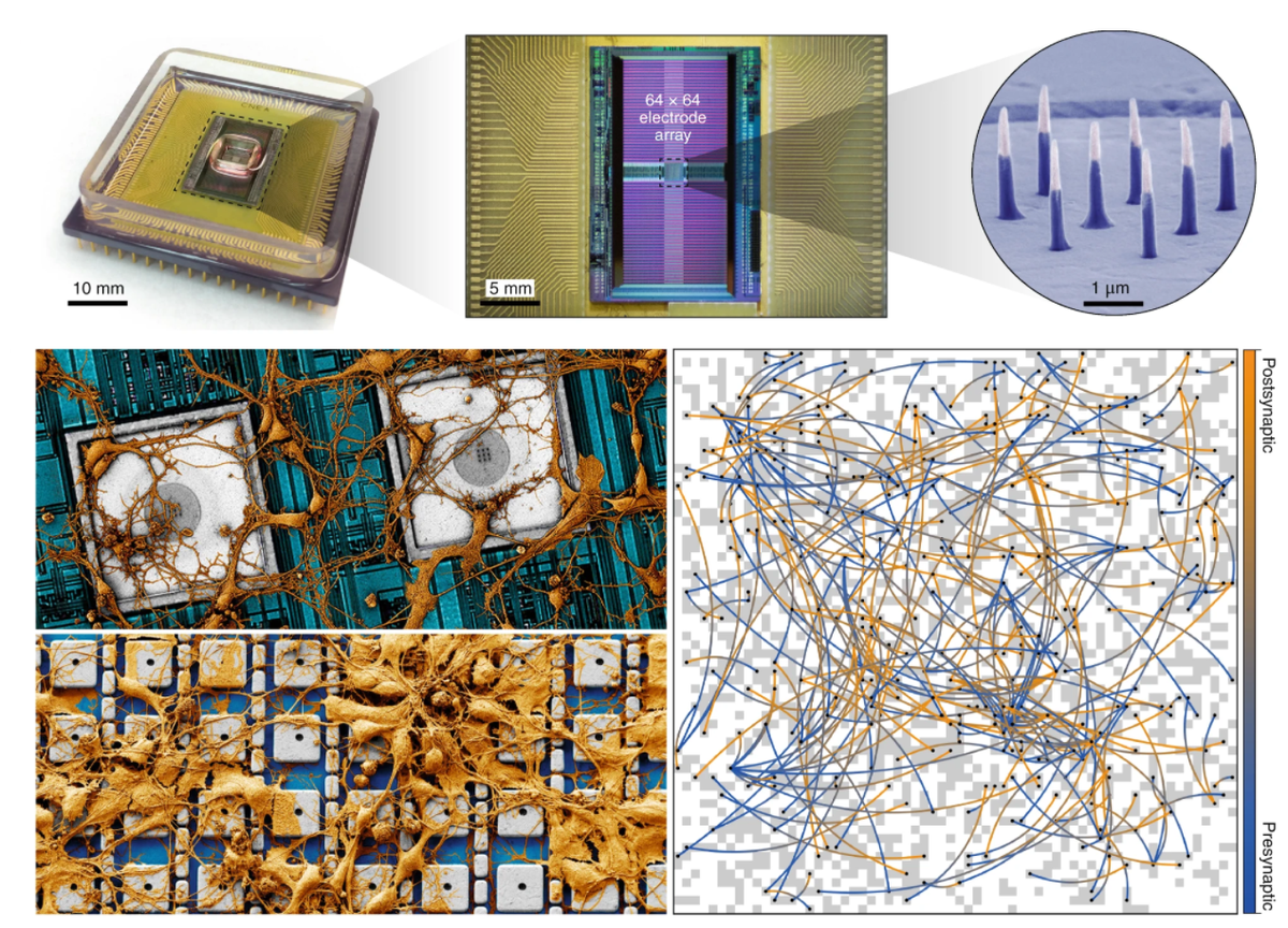Устройство и принцип работы КМОП-матрицы наноэлектродов.