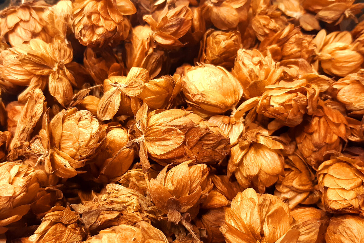 Сильно потемнел