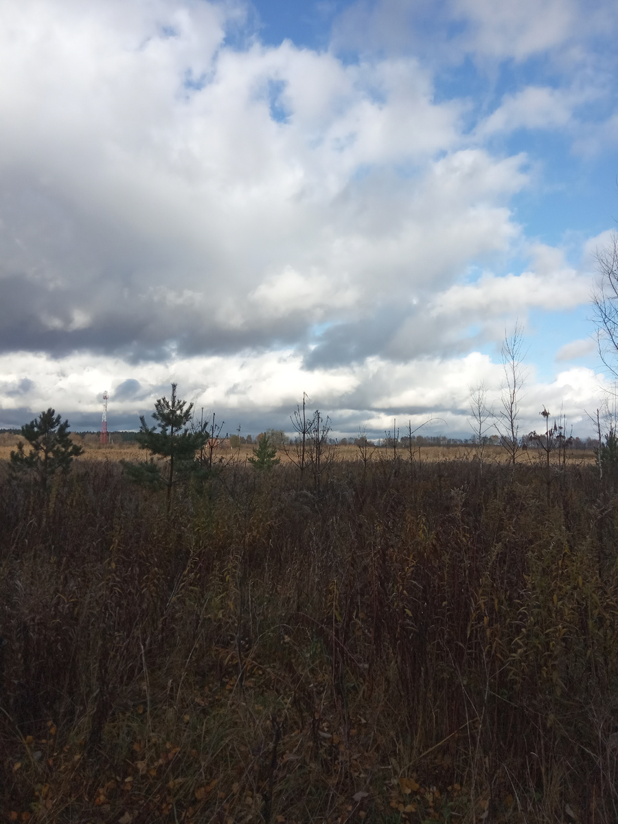 Небо низкое, но красивое.