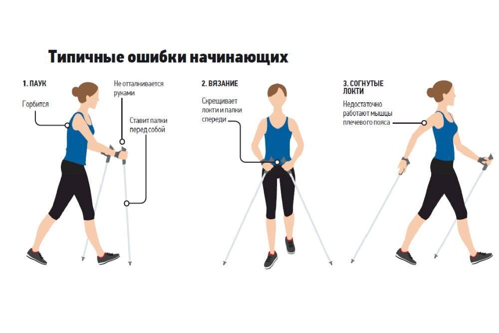 Ходьба польза для женщин. Техника скандинавской ходьбы. Скандинавская ходьба техника ходьбы. Мышцы при скандинавской ходьбе. Правильная Скандинавская ходьба.