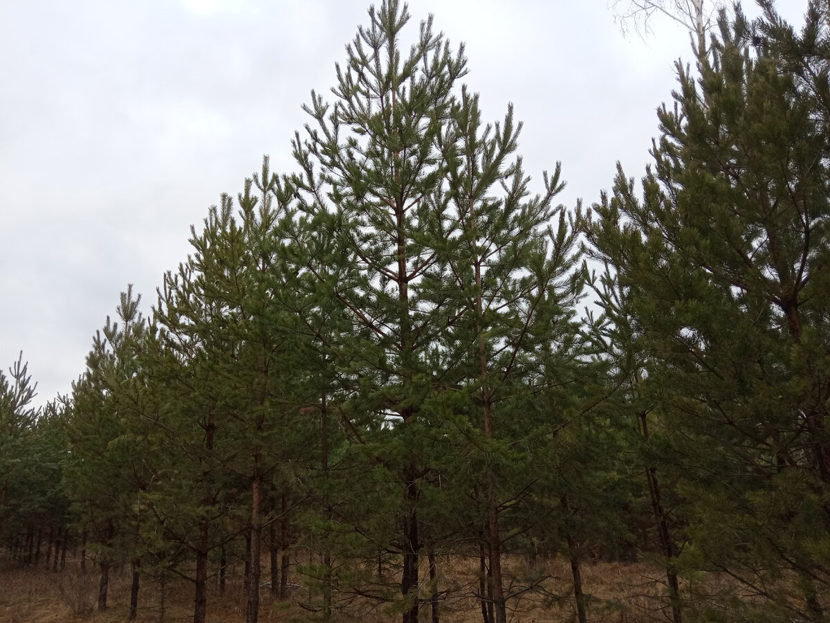 Фотография из личного архива автора