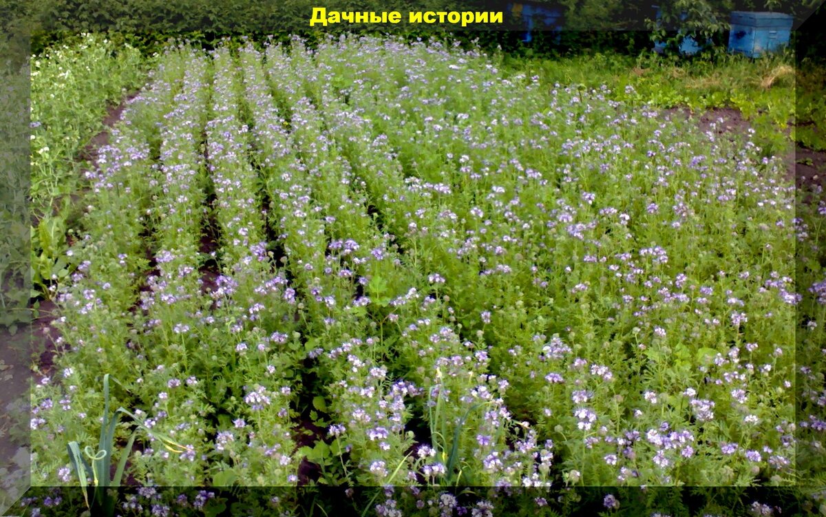 https://vk.com/photo-159774511_457250142