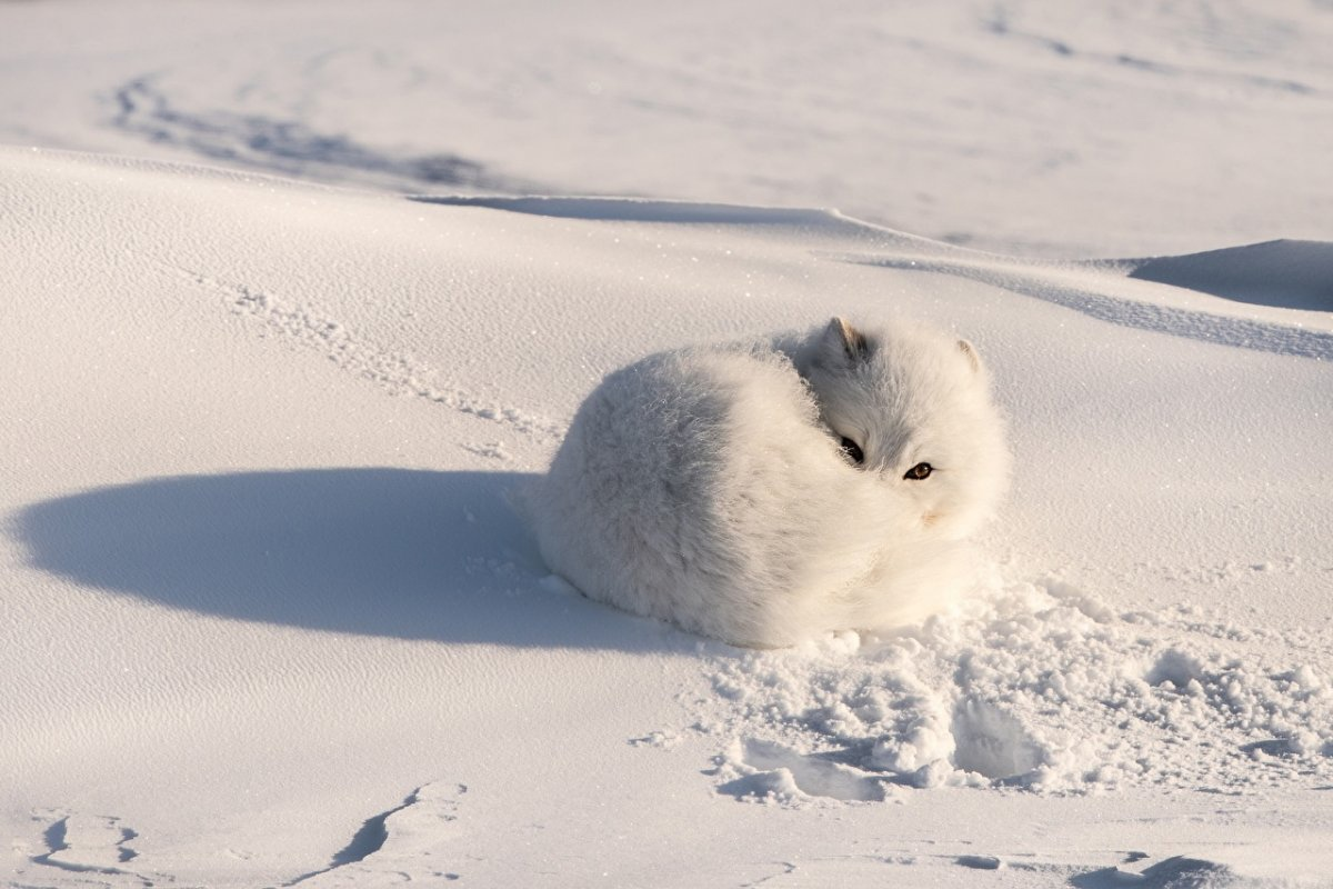 Видели ли вы в своей жизни что-нибудь идеальней?