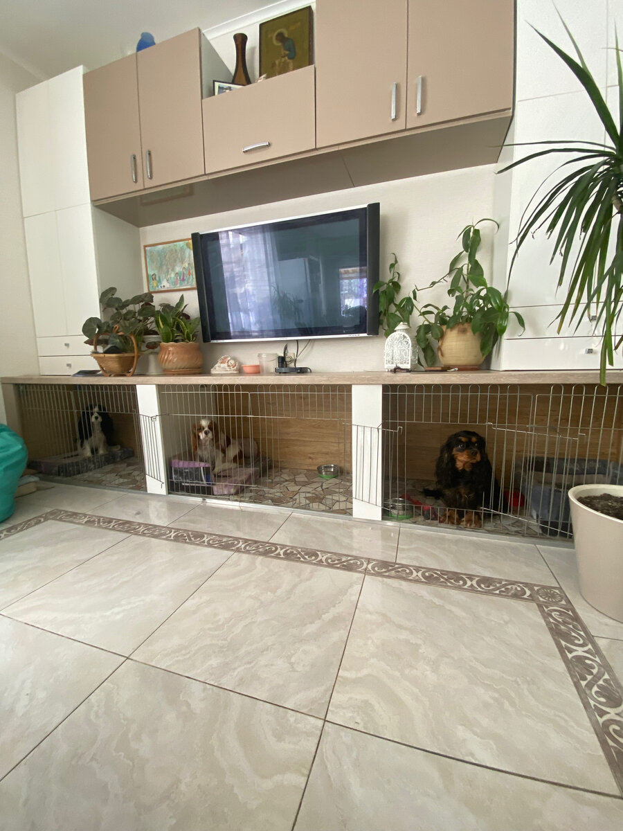 это домики для моих собачек, мы сделали из сами.