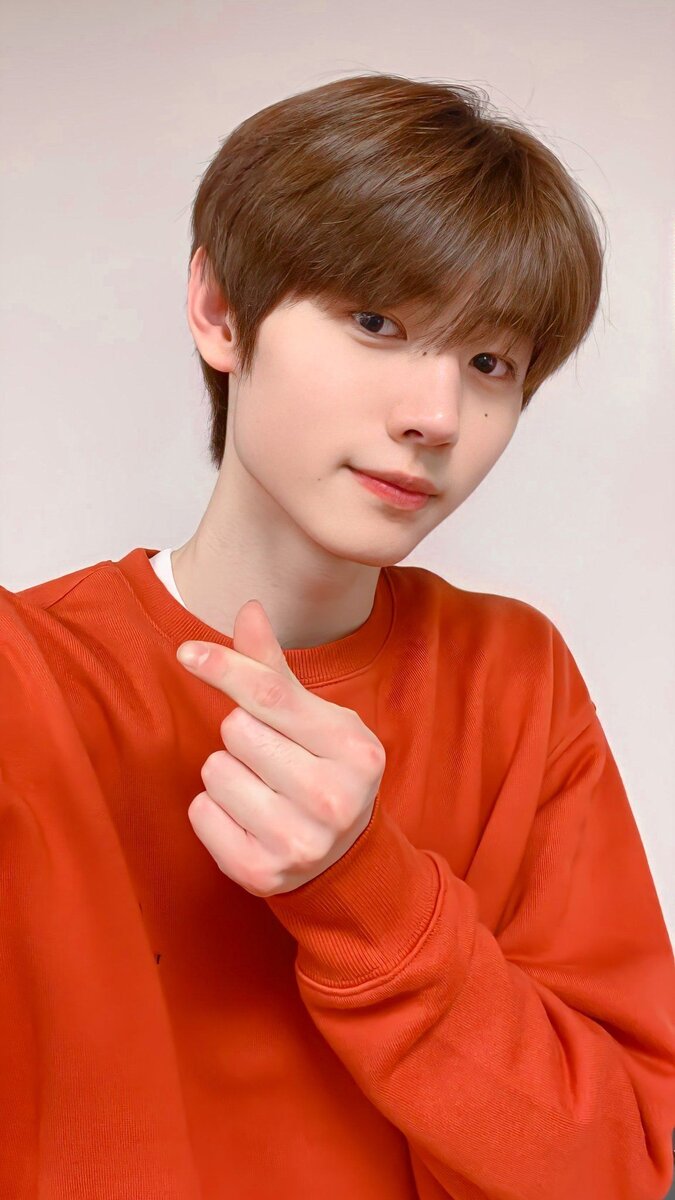 Фото взято из интернета.