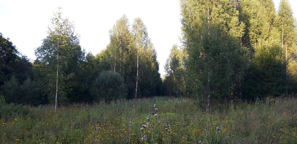 Фото с этого поиска