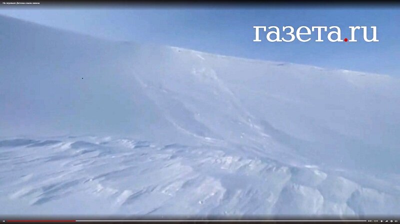 28 января 2022 года два профессиональных горных гида из Екатеринбурга Олег Демьяненко и Дмитрий Борисов выехали на снегоходах в район вершины Хоолат-Сяхыл, где впервые стали свидетелями схода снежной доски в районе гибели группы Дятлова. Последствия схода снежной доски они зафиксировали 29 января 2022 года на видеокамеру.  