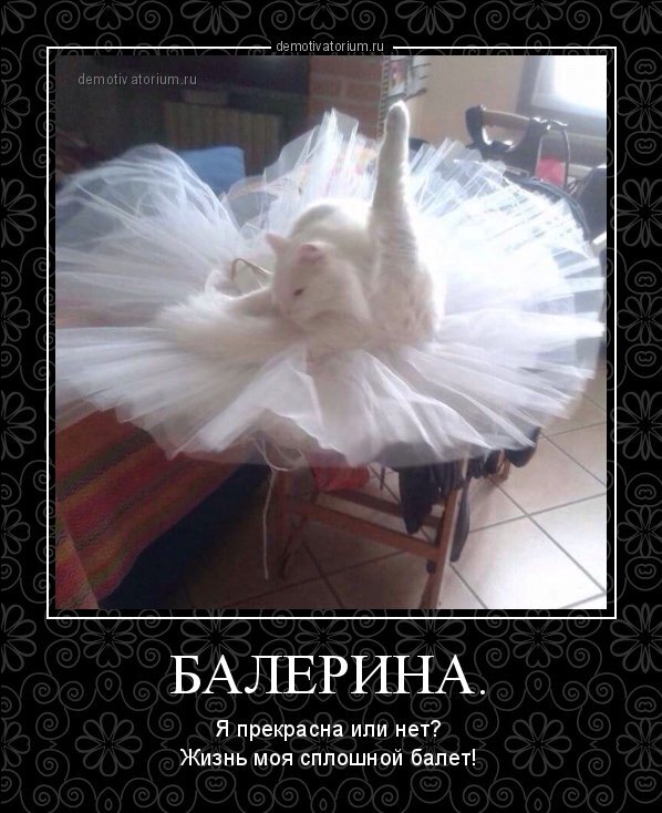 Фото из свободного доступа