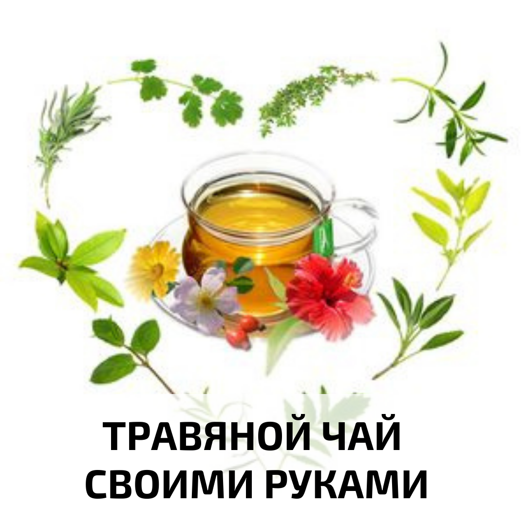 🌿Травяные чаи бывают самого разного назначения: успокаивающее, тонизирующее, расслабляющее, согревающее и витаминизирующее. 😍Каждый из них имеет своеобразный, индивидуальный вкус и запах.
☝Прелесть использования травяных чаев заключается во множестве вариантов приготовления.
👉Травяные чаи условно делятся на витаминные и лечебные.
🌼Витаминные чаи разрешено и рекомендовано пить каждый день.
🌻Лечебные — употребляют по показаниям, в качестве добавки после консультации с врачом.
🌞Утром лучше всего побаловать себя тонизирующим травяным настоем. Он может включать в свой состав лимонник, дягиль, любисток, женьшень, саган-дайля, лимонник.
🌜Вечером хорошо употреблять успокаивающие чаи, включающие в свой состав мяту, мелиссу, валериану, ромашку, вишню.
❄Зимой хороши для употребления чаи, которые повышают иммунитет и снабжают организм витаминами. Они могут содержать малину, смородину, облепиху, шиповник, рябину.
💐Летом особой популярностью пользуются холодные освежающие травяные чаи. Их лучше заваривать их свежего сырья. Тем более, что сезон позволяет составить любой чай.
😮Как самому создать вкусный, а главное полезный чай?
🧐Необходимо сырьё условно разделить на 4 составляющие:
1. «Чайная база» - травы питательные (те, у которых в хим. составе много витаминов и минералов, например, Листья малины, Иван чай, Зелёный чай и т. д.).
2. «Основной вкус» - травы с насыщенным ароматом и вкусом (те, у которых в хим. составе есть эфирные масла или которые душисто пахнут, например, Мята, Розмарин, Лаванда, Смородина, Ромашка, Чабрец и т. д.),
3. « Катализатор» - горчинка (то, что пригодится для добавления лёгкой «огненной» ноты, чтобы чай тёк по венам быстрее, например щепотка имбиря, корицы, гвоздики, перец и т.п.)
4. «Украшение» - те травы, которые придадут цвет, либо добавят красоты в напиток, например, Василёк, Анчай (синий чай), Каркаде, Сушёные плоды и т.д.
☕Экспериментируйте, но самое главное не добавляйте в напиток много позиций одной категории и тогда напиток получится у вас насыщенным, очень ароматным и вкусным!
❤️ Приятного чаепития!