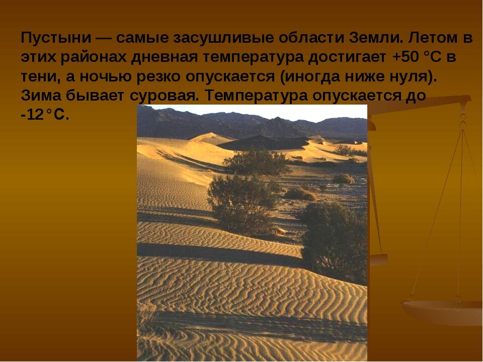 Районы с засушливым климатом. Общие особенности саванны. Тундра лес степь полупустыня. Зоны в умеренном поясе. Степь и пустыня разница.