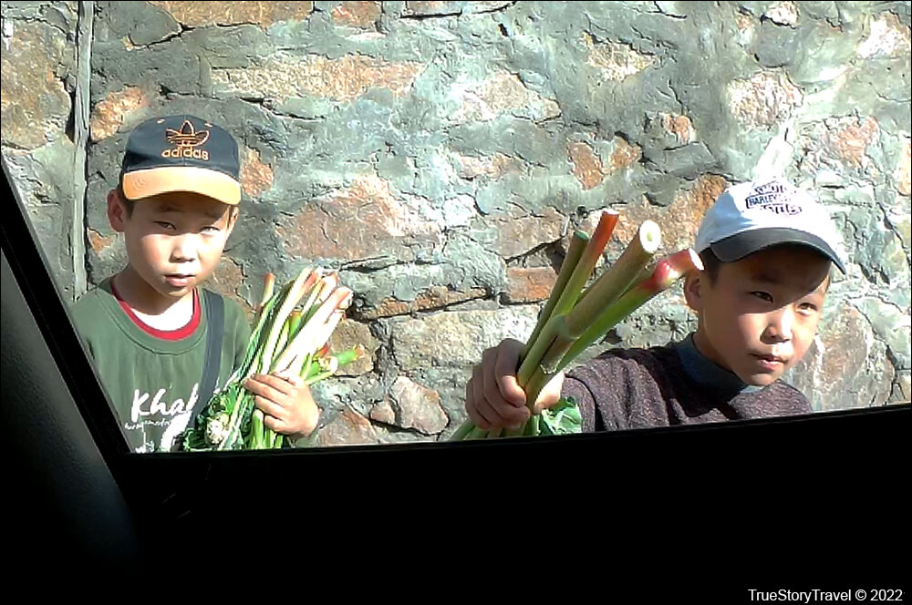 Киргизия - Бедное детство. Как зарабатывают дети в кишлаках?