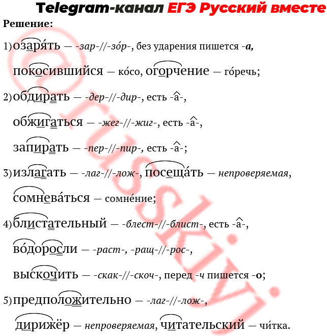 Задание 9 егэ русский язык 2023 презентация