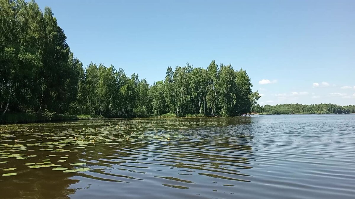 Мелко. Всё в водорослях.